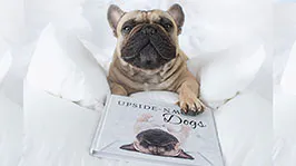 9 Adorable Doggos From Their Cutest Angle!