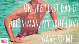 The Twelve Torsos of #blissmas: a definitive ranking