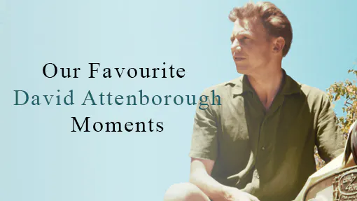 Our Favourite David Attenborough Moments