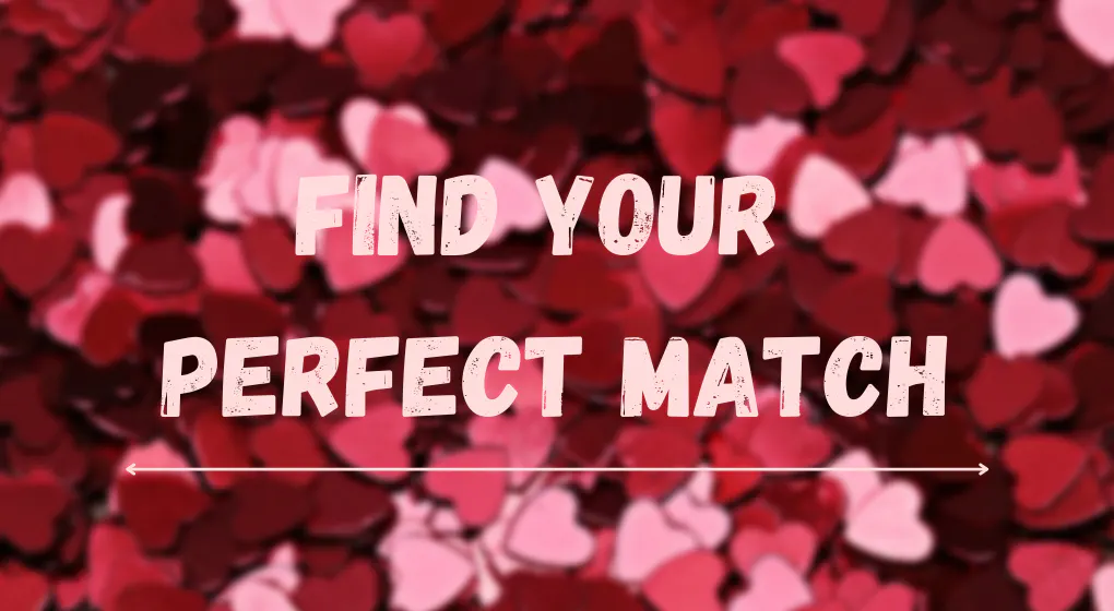 Find Your Perfect Match vol. 3