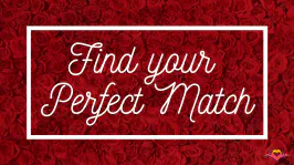 Find Your Perfect Match vol. 2