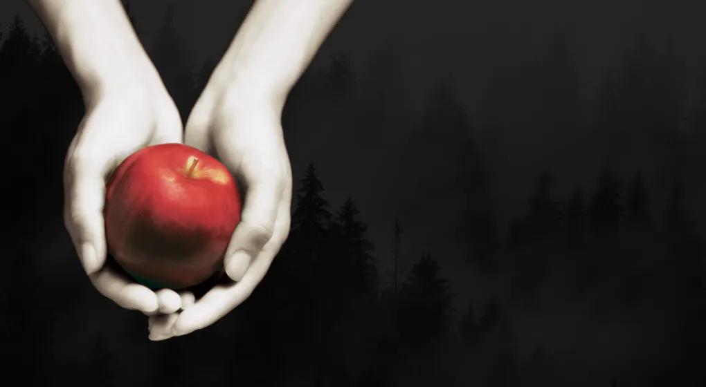 First Sentences of The Twilight Saga