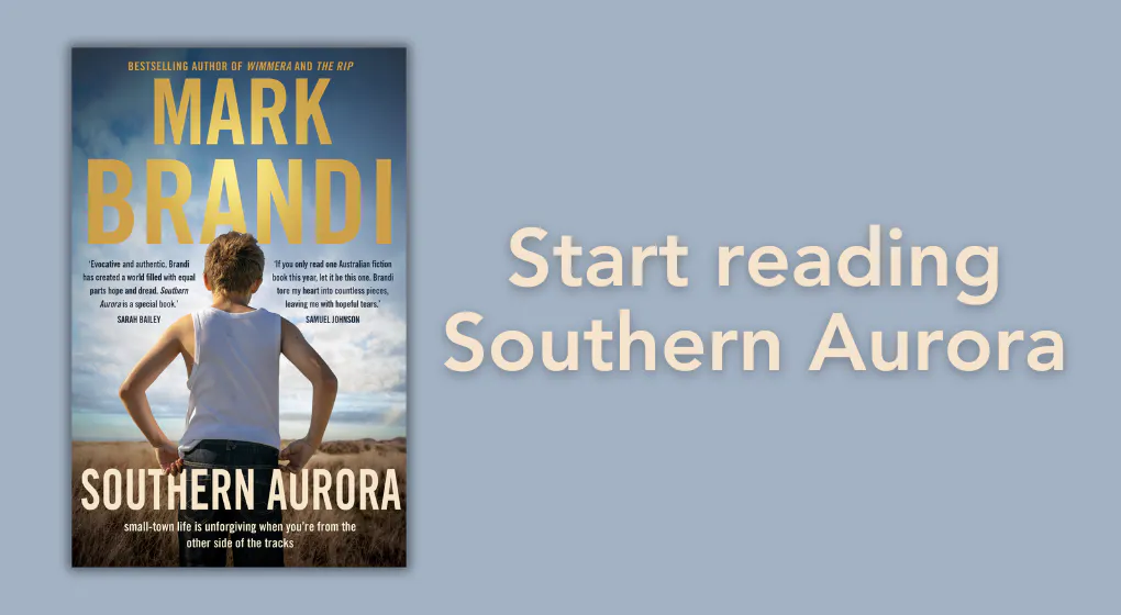 Read an extract from Southern Aurora