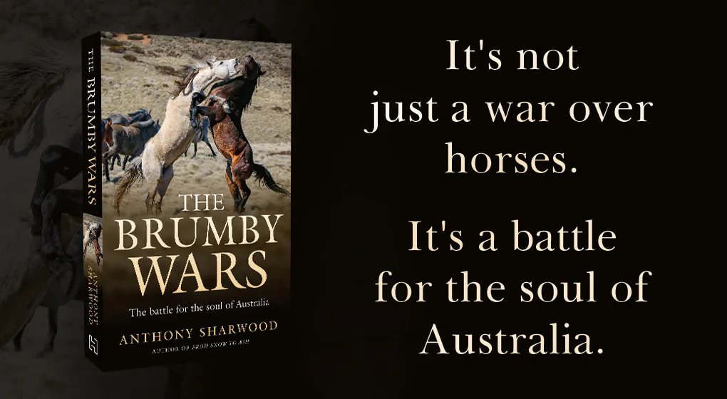 Behind The Brumby Wars