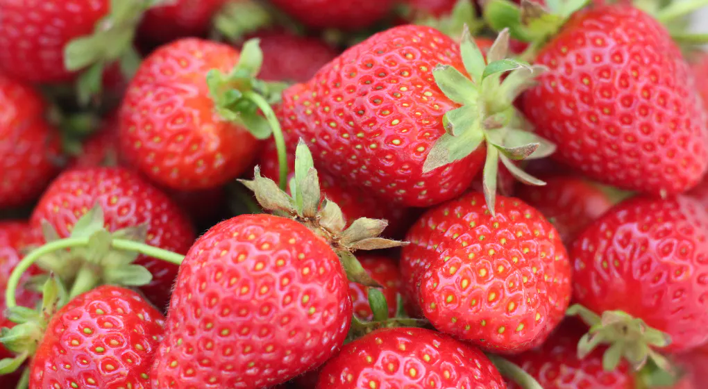 Foodpairing with Strawberries