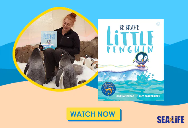 Be Brave Little Penguin