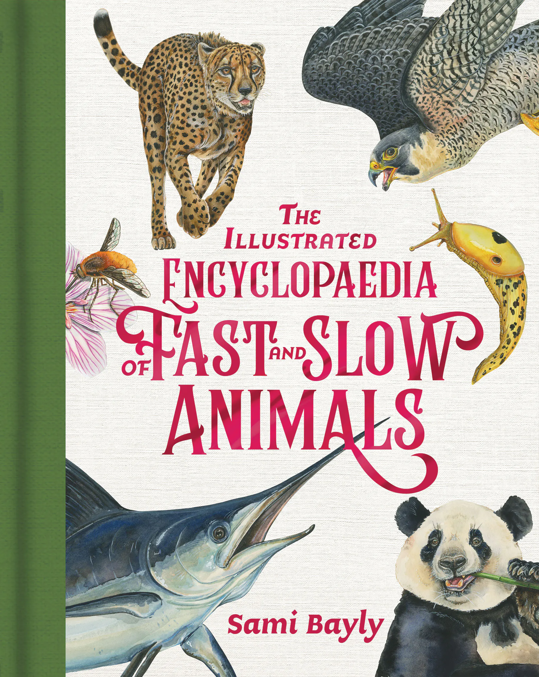 The Illustrated Encyclopaedia of Fast and Slow Animals by Sami Bayly