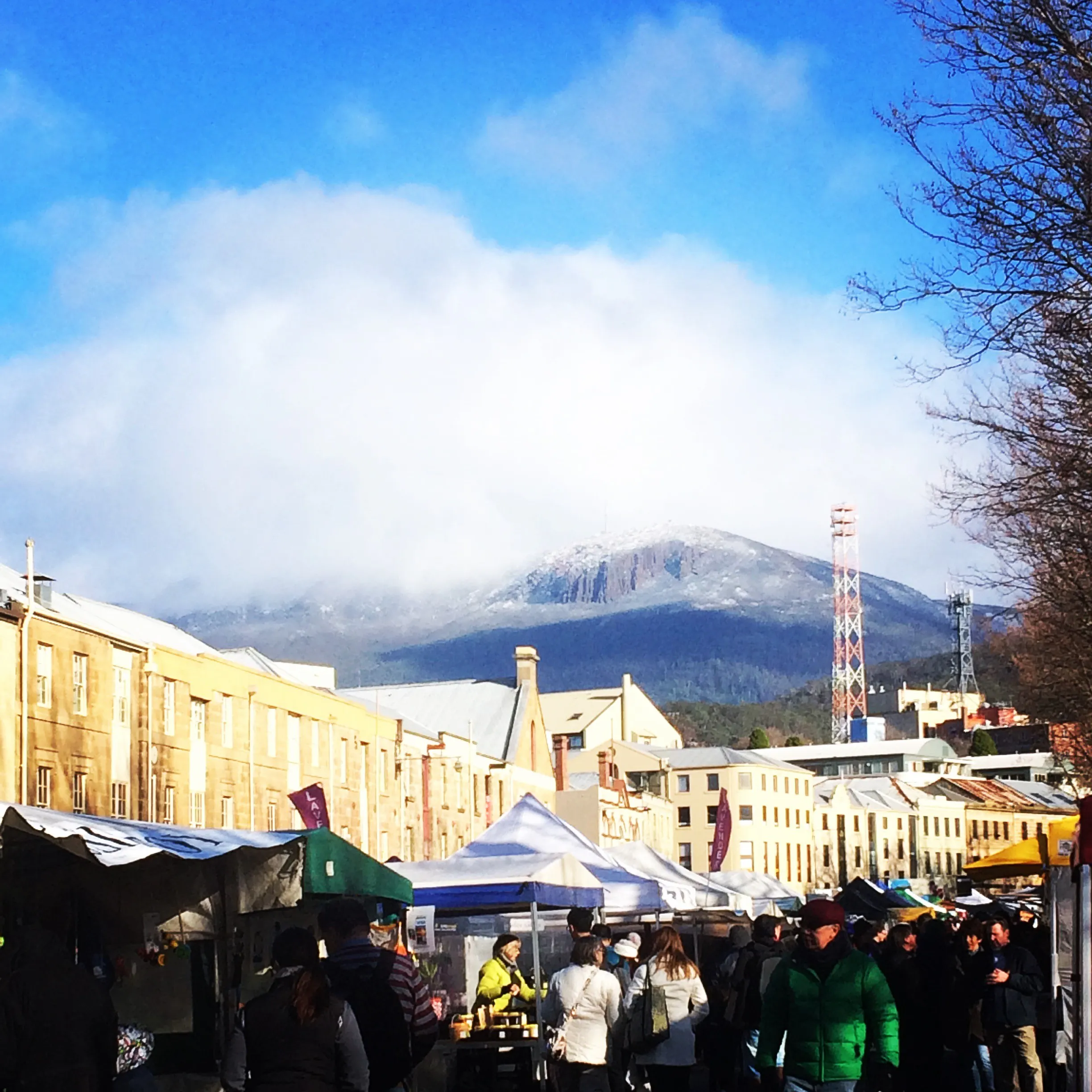 Salamanca Markets