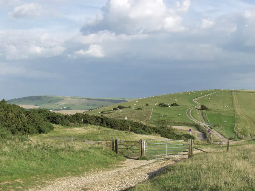 Sussex